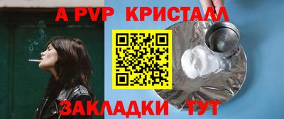 шишки Кинель